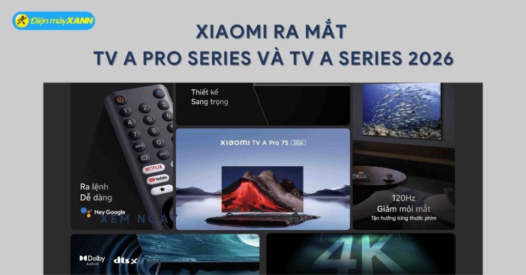 BaCC89n20sao20cuCC89a20HUCC9BOCC9BCC81NG20DACC82CC83N20CHOCCA3N20MUA2028120020x2062820px29638829975303427812